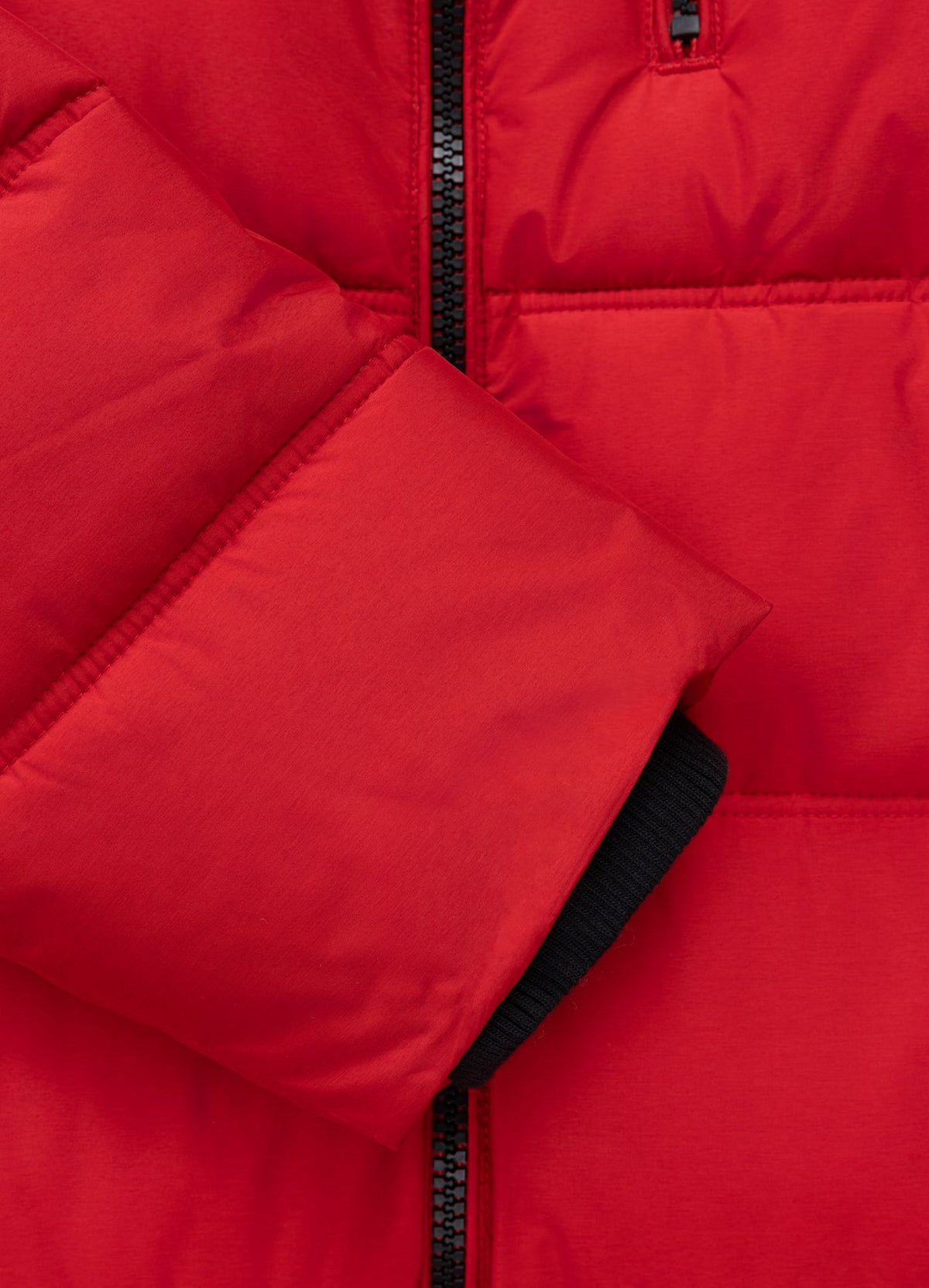 Quilted winter jacket with hood PIEDMONT