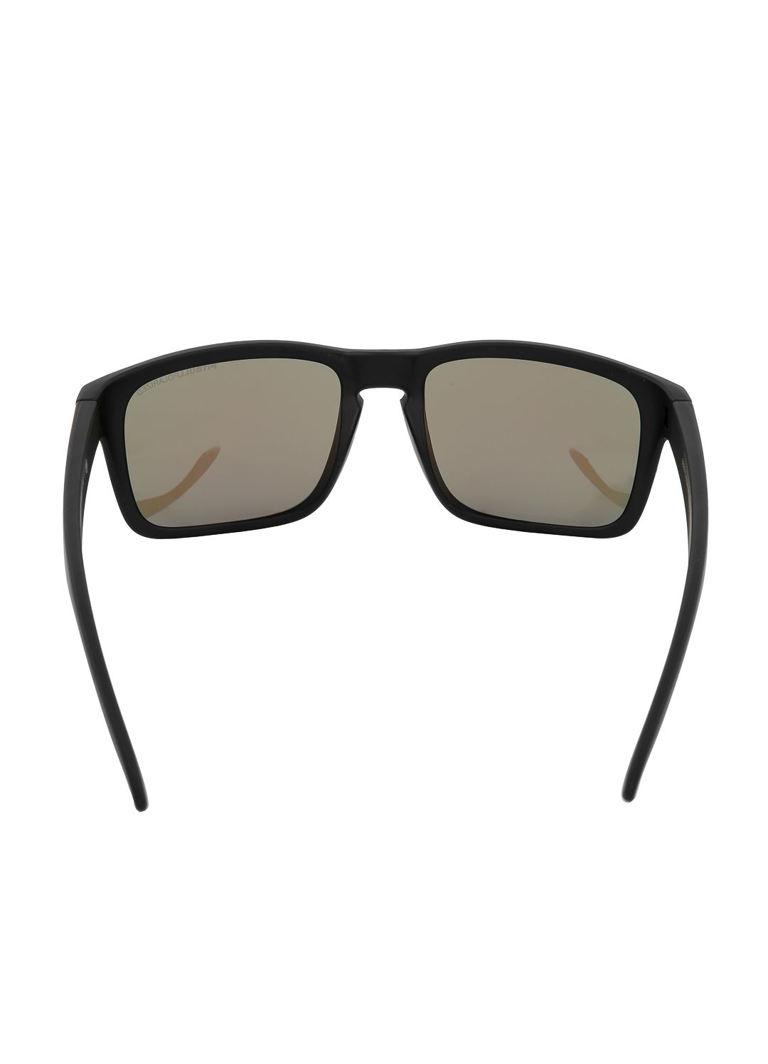 Sunglasses GROVE