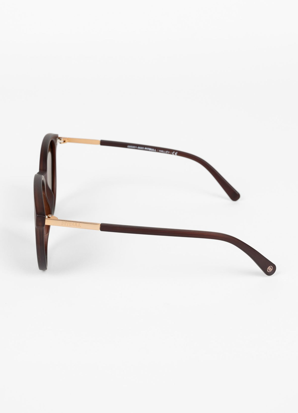 Sunglasses HALLEY