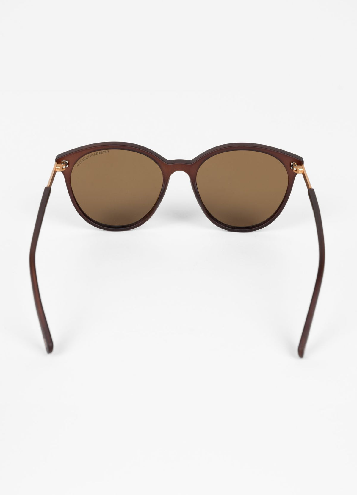 Sunglasses HALLEY