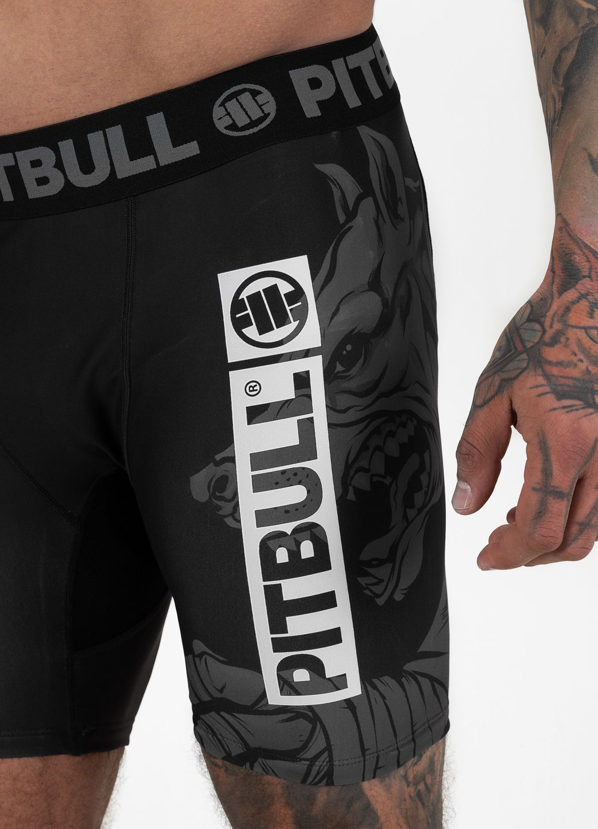 Compression shorts Masters Of BJJ Hilltop