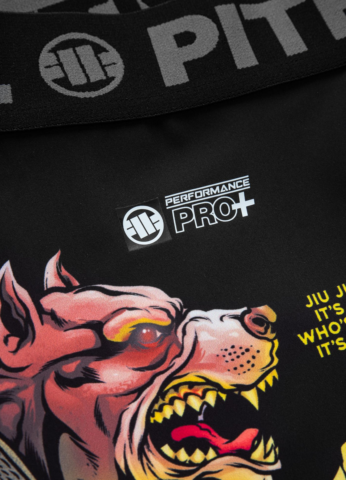 Compression shorts Masters Of BJJ Hilltop