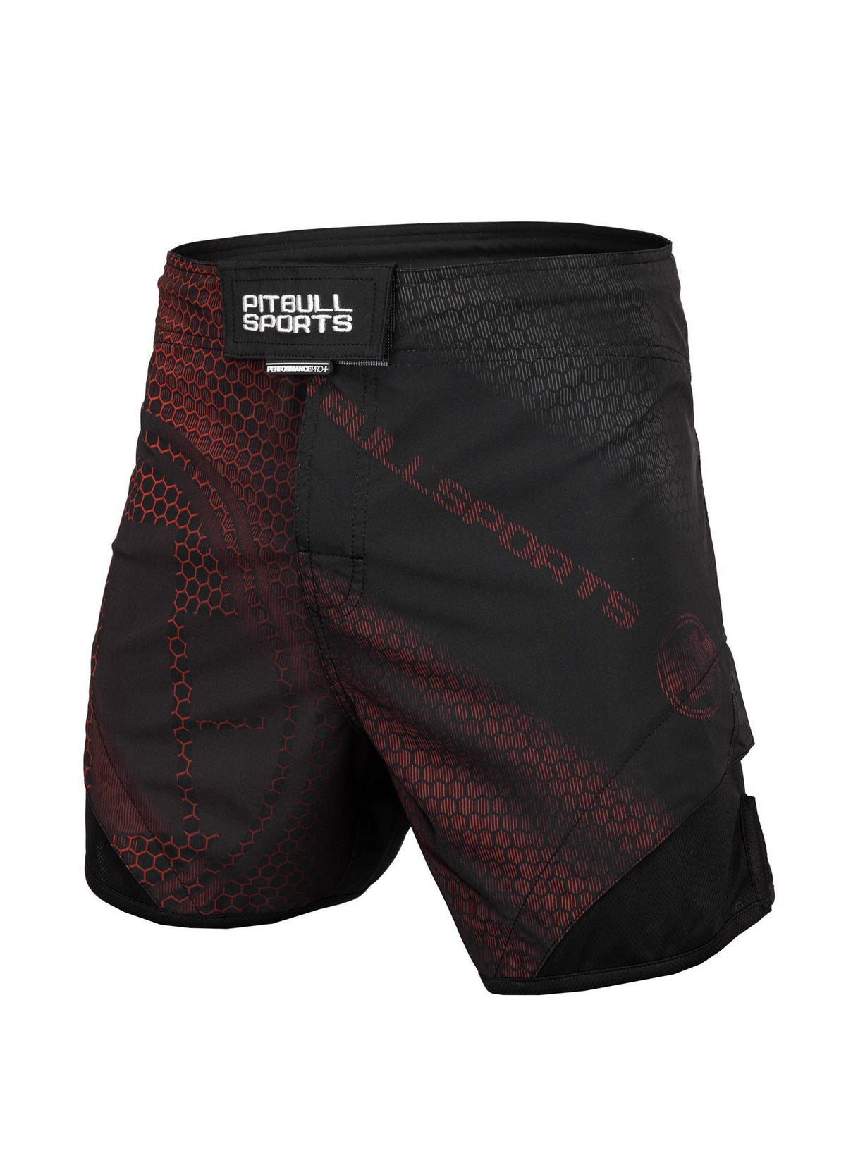Fight Shorts Jet Mesh New Raster