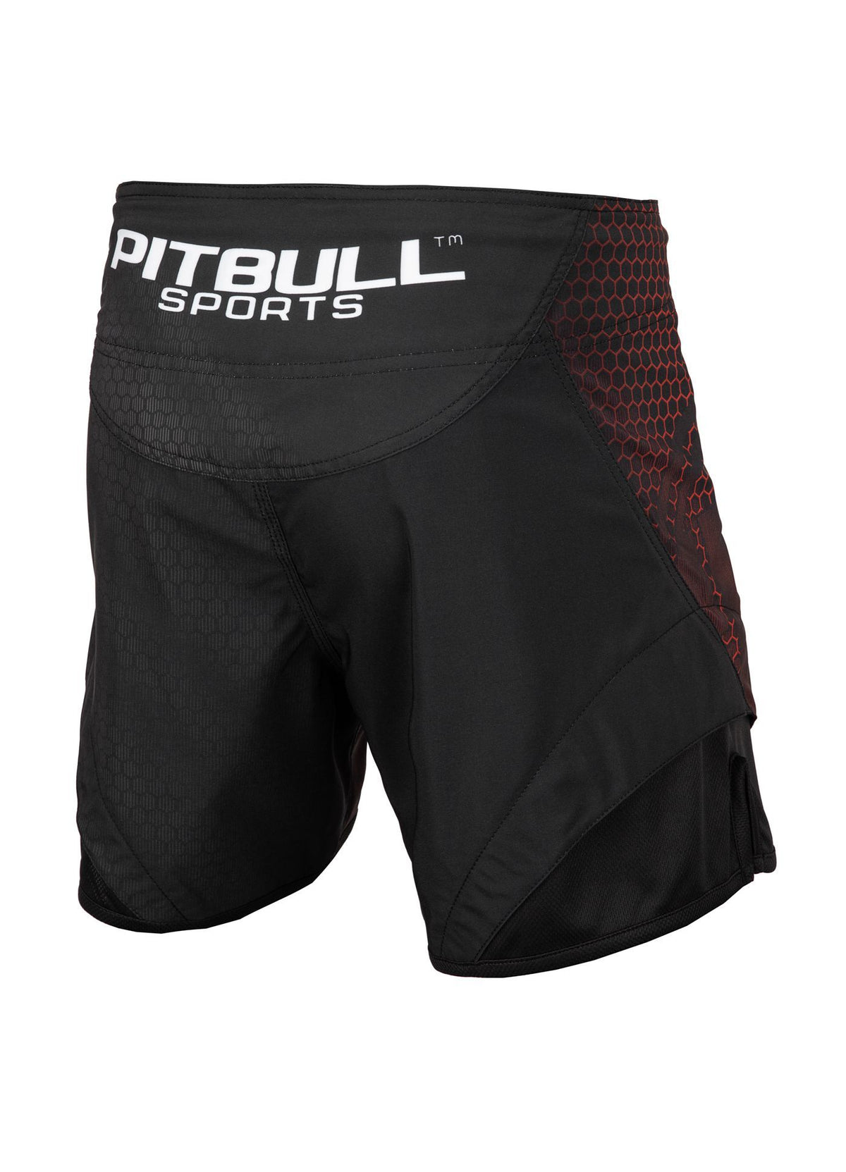 Fight Shorts Jet Mesh New Raster