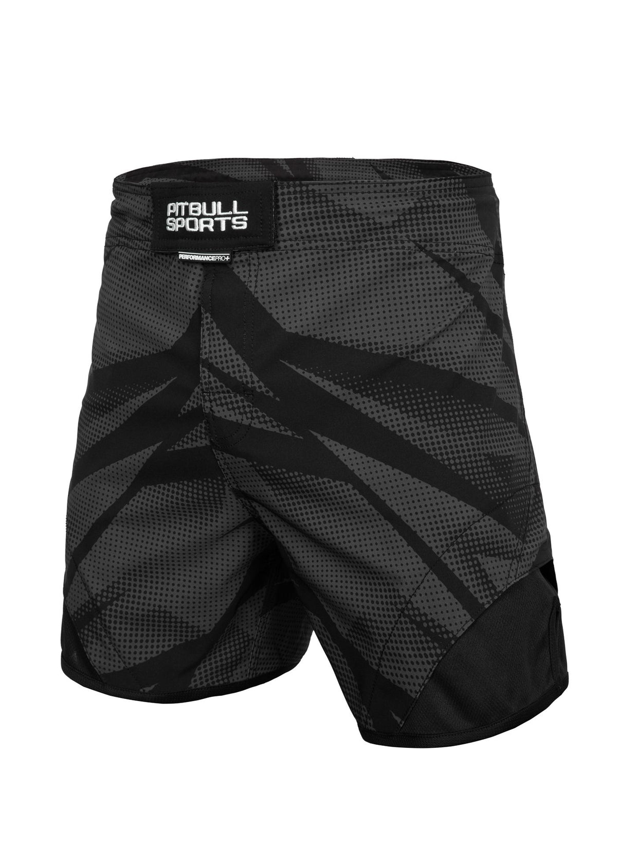 Training shorts Jet Mesh Performance Pro plus Dot Camo