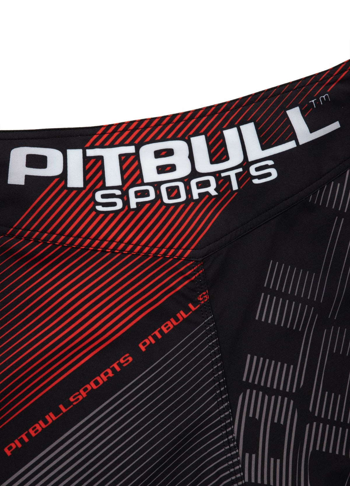 Fight Shorts Mesh New Charger
