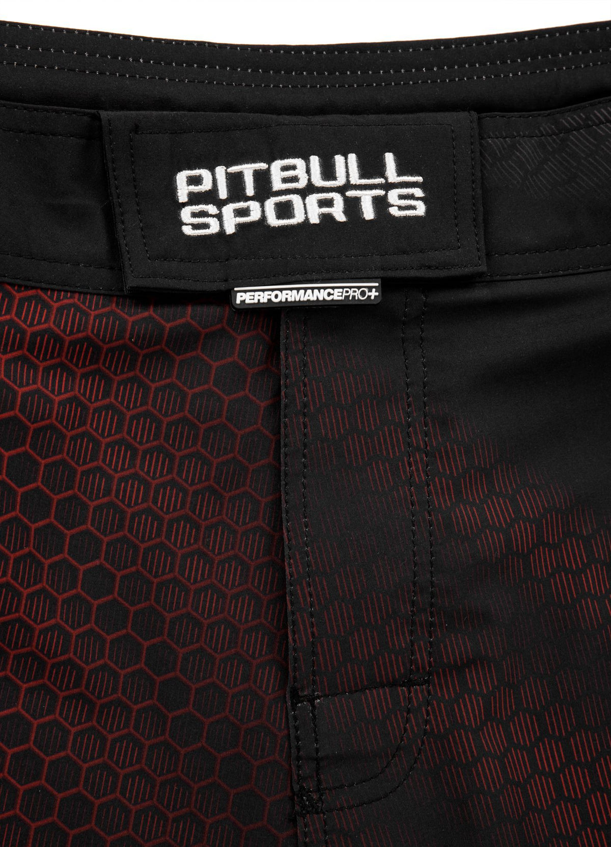 Fight Shorts Mesh New Raster