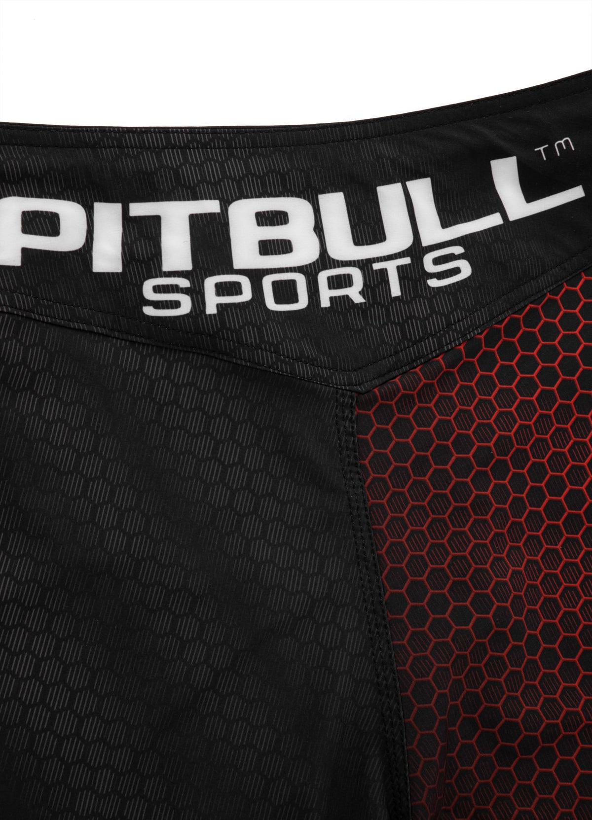Fight Shorts Mesh New Raster