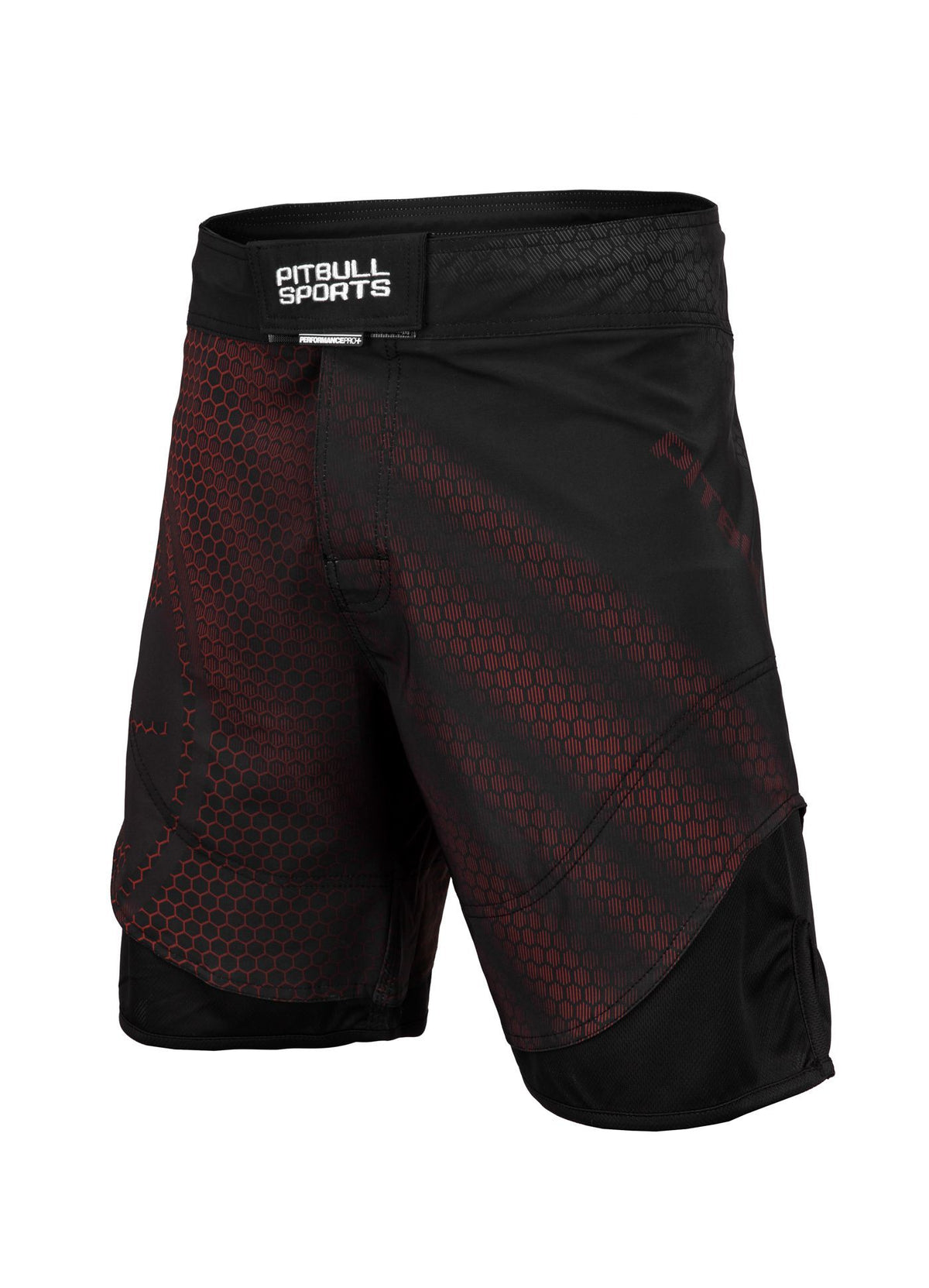 Fight Shorts Mesh New Raster