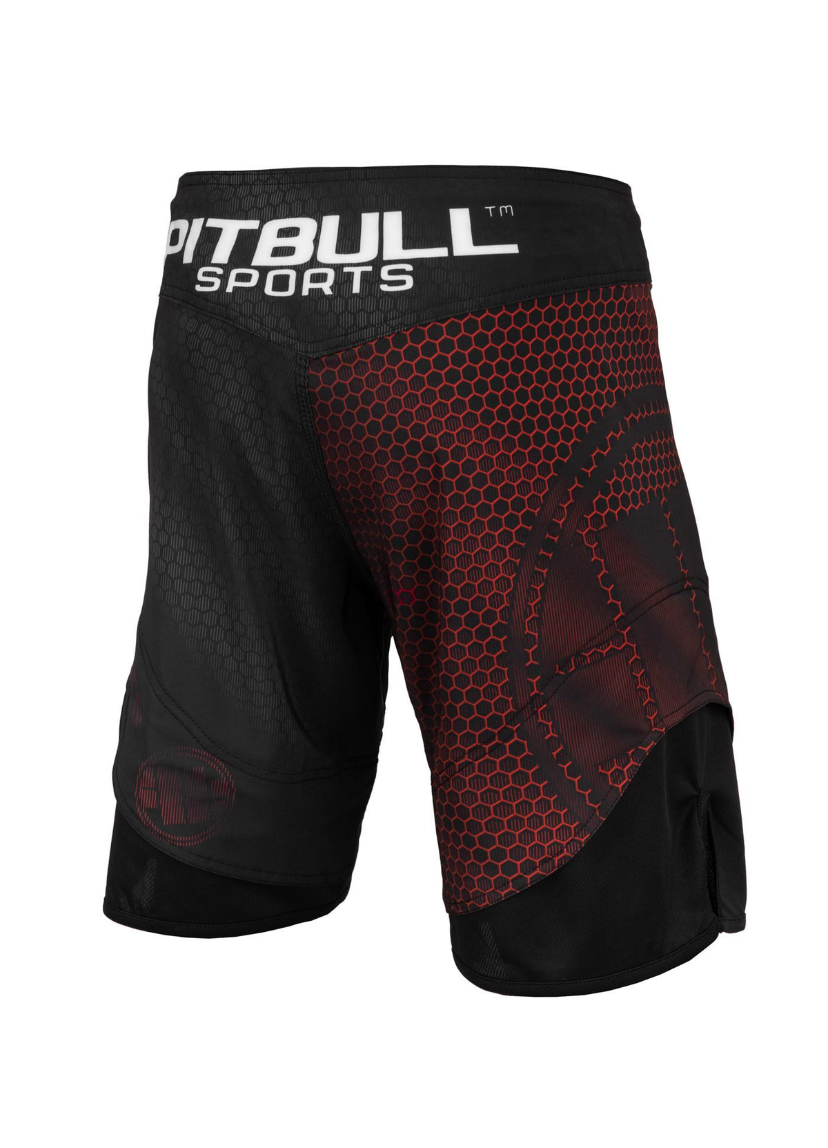 Fight Shorts Mesh New Raster