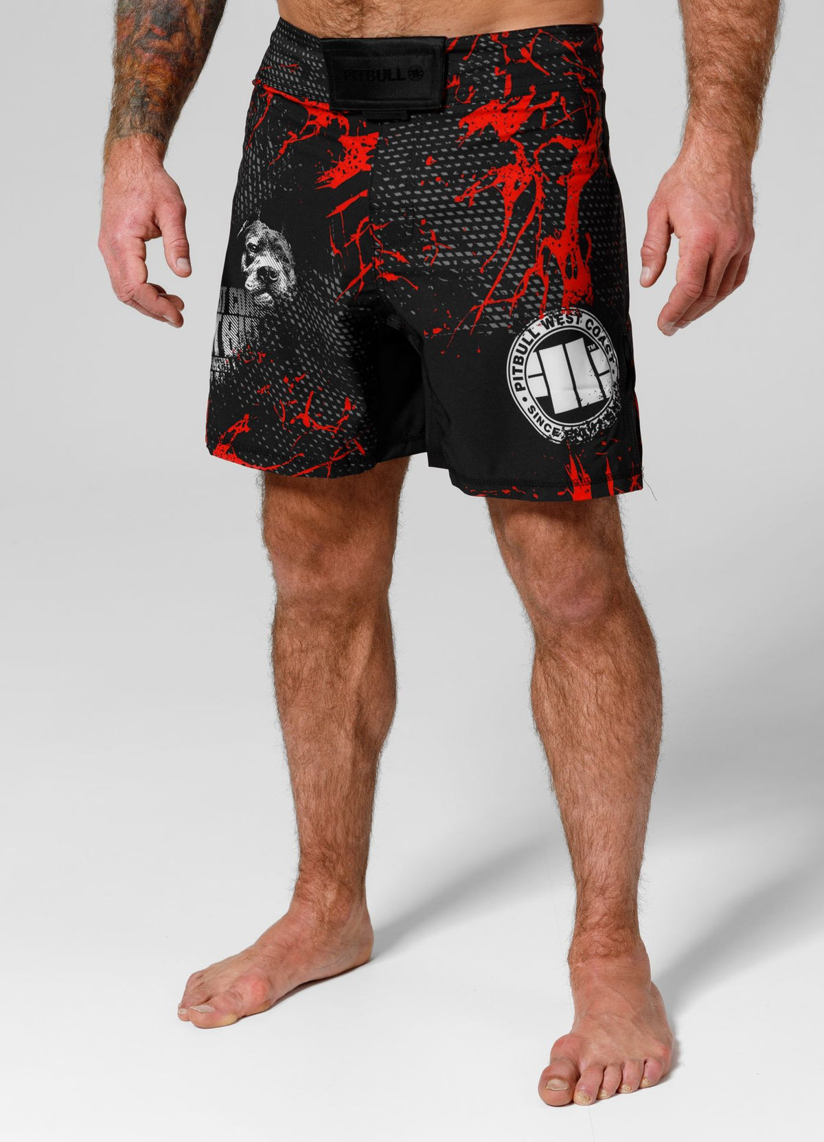 Training shorts Performance Pro plus Blood Dog II