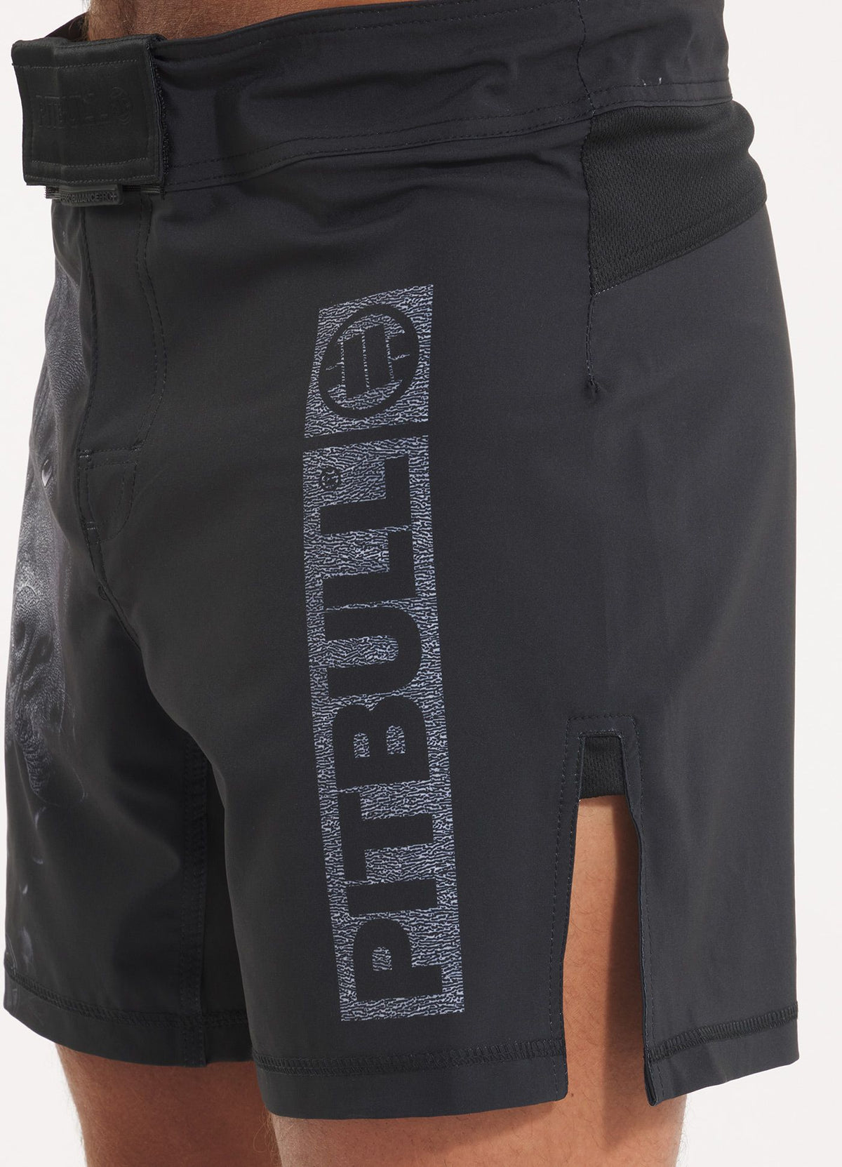 Training shorts Performance Pro plus Born in 1989