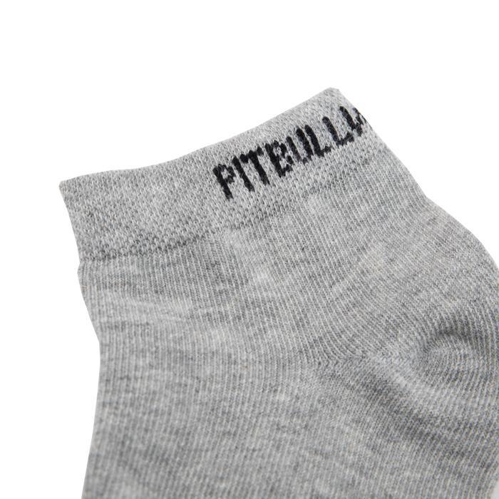 Low Ankle Thin Socks 3pack Grey - Pitbull West Coast U.S.A. 