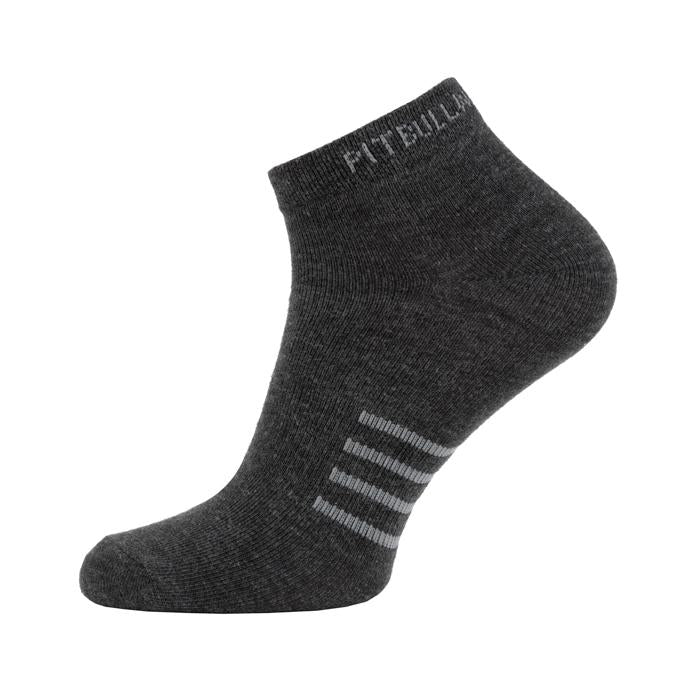 Low Ankle Socks 3pack Charcoal - Pitbull West Coast U.S.A. 