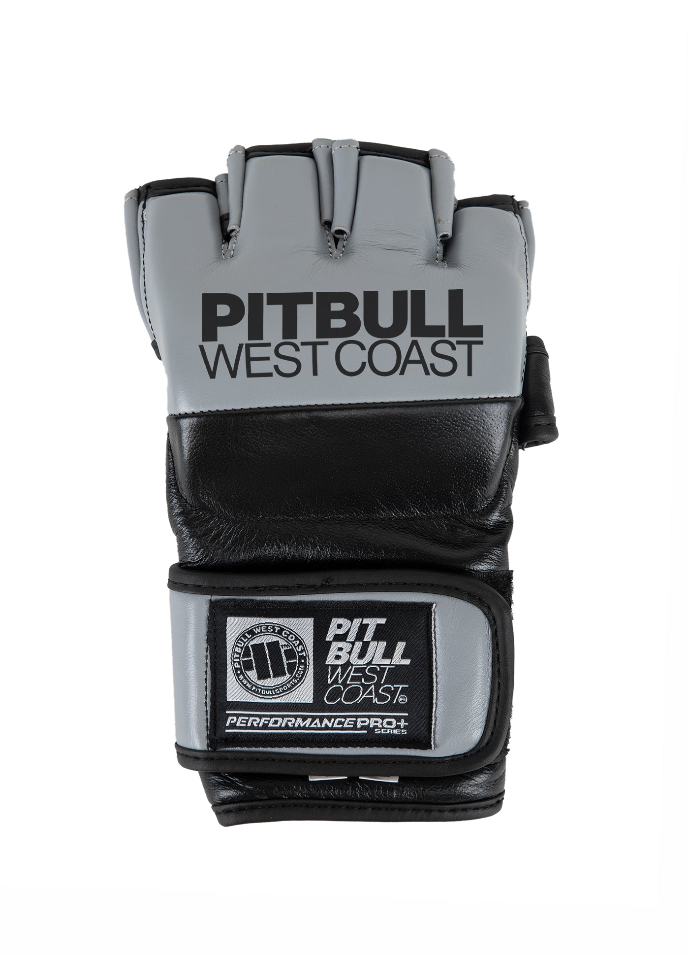 Buy TNT Training Grey Gloves Pitbull Store