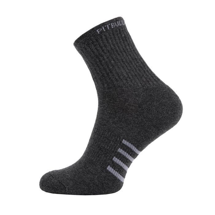 High Ankle Thin Socks 3pack Charcoal - Pitbull West Coast U.S.A. 